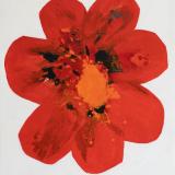 Cosmos Flower (red) 120x100 - 2023